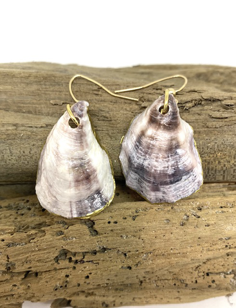 Oyster Shell Earrings - Gold